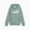 ESS No. 1 Logo Fleece Hoodie Youth, Green Moon, small