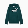 Essentials No. 1 Logo Big Kids' Fleece Hoodie, Green Terrain, small
