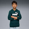 ESS No. 1 Logo Fleece-Hoodie Teenager, Green Terrain, small