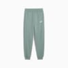 ESS No. 1 Logo Fleece-Jogginghose Teenager, Green Moon, small