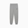 ESS No. 1 Logo Sweatpants Youth, Medium Gray Heather, small