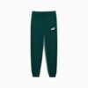 ESS No. 1 Logo Sweatpants Youth, Dark Myrtle, small