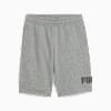 Essentials No. 1 Logo Shorts - Youth 8-16 years, Medium Gray Heather, small-NZL