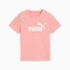ESS No. 1 Logo Tee Kids, Pink Fruit, small