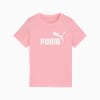 ESS No. 1 Logo Tee Kids, Pinkscape, small