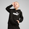 ESS No. 1 Logo Fleece Hoodie Kids, PUMA Black, small