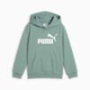 ESS No. 1 Logo Fleece Hoodie Kids, Green Moon, small