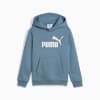 Sudadera de lana Essentials con logotipo n.º 1 para niños pequeños, Cool Blue, small