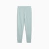 ESS ELEVATED Jogginghose Damen, Modern Mint, small