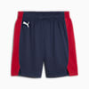 Saski Baskonia 24/25 Shorts Men, PUMA Navy, small
