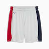 Saski Baskonia 24/25 Shorts Men, Cool Light Gray, small