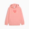 Flaming Love Hoodie Youth, Pink Fruit, small