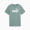 Essentials Colour No.1 Logo Tee - Youth 8-16 years, Green Moon, small-AUS