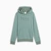 Essentials Logo Lab Execution Hoodie - Youth 8-16 years, Green Moon, small-AUS