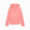Essentials Script Hoodie - Youth 8-16 years, Pink Fruit, small-AUS