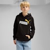 ESSENTIALS 2 Colour No. 1 Logo Hoodie - Youth 8-16 years, PUMA Black-Sunny Yellow, small-AUS