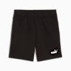 Essentials 2 Colour No. 1 Logo Shorts - Youth 8-16 years, PUMA Black, small-AUS