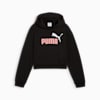 Essentials 2 Colour No. 1 Logo Hoodie Youth, PUMA Black, small-SEA
