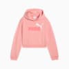 Essentials 2 Colour No. 1 Logo Hoodie Youth, Pink Fruit, small-SEA