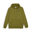 Essentials Full-Length Men's Hoodie, Dusty Aqua, small-NZL