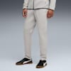 Evostripe Men's Pants, Gray Echo, small-AUS