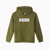 Essentials Logo Fleece Hoodie Youth, Olive Green, small-NZL