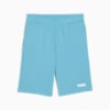 Shorts Essentials Small Logo juveniles, Dusty Aqua, small