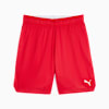 teamJAWS Reversible Basketball Shorts Men, For All Time Red-PUMA White, small-PHL