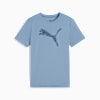 TAD ESS Puma Graphic Tee Youth, Cool Blue, small