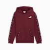 ESS GRAPHIC Animal Hoodie Youth, Ruby Shimmer, small