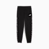 Essentials Graphic Animal Pants Youth, PUMA Black, small