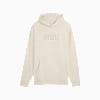 Elevated Essentials Graphic Hoodie Men, Alpine Snow, small