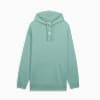 Sudadera con capucha holgada Essentials para hombre, Light Moss, small