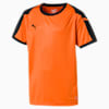 Liga Junior Football Jersey, GOLDEN POPPY-Puma Black, small-SEA