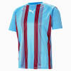 teamLIGA Striped Football Jersey Men, Team Light Blue-Cordovan-Puma White, small-VNM