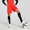 Puma Red-Puma White