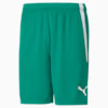teamLIGA Football Shorts Men, Pepper Green-Puma White, small-SEA
