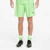 Fizzy Lime-Puma Black