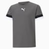 teamRISE Football Jersey Youth, Smoked Pearl-Puma Black-Puma White, small-SEA
