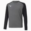 teamPACER Long Sleeve Goalkeeper Jersey Youth, Smoked Pearl-Puma Black-Puma White, small-SEA