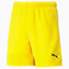 teamRISE Football Shorts Youth, Cyber Yellow-Puma Black, small-THA