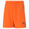 teamRISE Football Shorts Youth, GOLDEN POPPY-Puma Black, small-THA