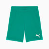 teamGOAL Men's Football Shorts, Sport Green-PUMA White, small-THA