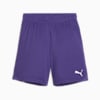 กางเกงฟุตบอลเด็กโต teamGOAL, Team Violet-PUMA White, small-THA