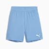 กางเกงฟุตบอลเด็กโต teamGOAL, Team Light Blue-PUMA White, small-THA