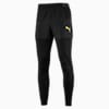 BVB Stadium Pro Men's Football Pants, Puma Black, small-SEA