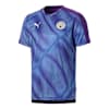 Man City Stadium League Men's Jersey, TillandsiaPurple-TeamLightBl, small-SEA