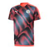 Man City Stadium League Men's Jersey, Georgia Peach-Puma Black, small-SEA