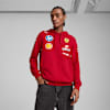 Scuderia Ferrari 2025 Team Men's Hoodie, Dark Cherry, small-AUS