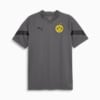 Borussia Dortmund Training Jersey Men, Smoked Pearl, small-PHL